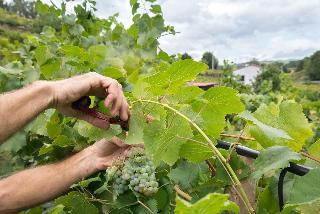 Casa Da Cevidade Vendégház Melgaço Kültér fotó